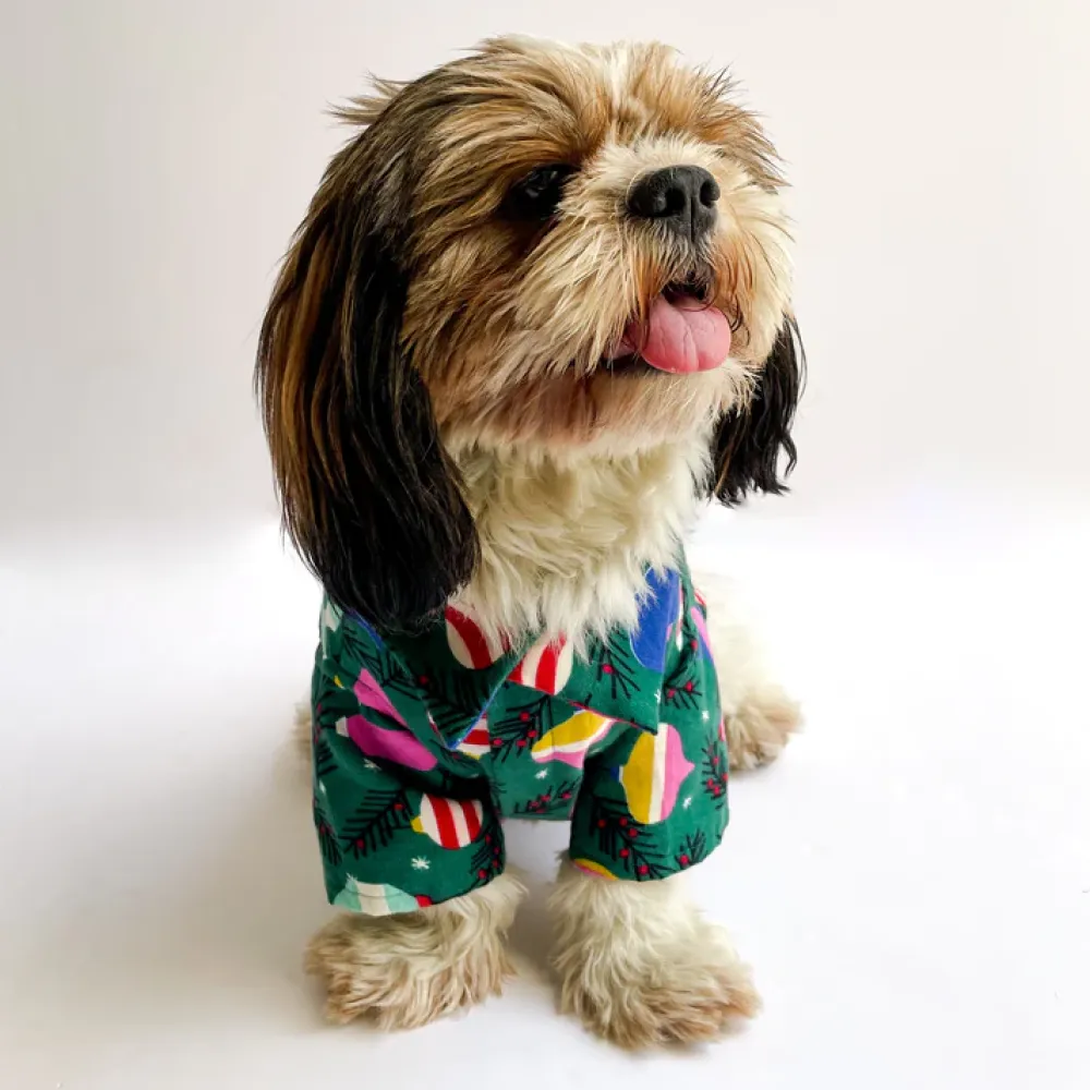 Pawgypets Warm Winter Shirt for Dogs and Cats (Green)